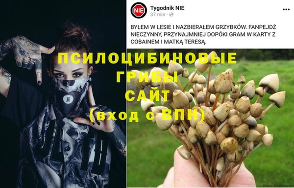 герыч Аркадак