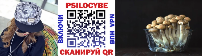 даркнет Telegram  Талица  Галлюциногенные грибы GOLDEN TEACHER  где найти наркотики 