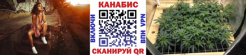 Конопля Amnesia  Талица 